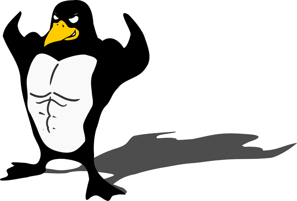 penguin, bodybuilder, linux-149971.jpg